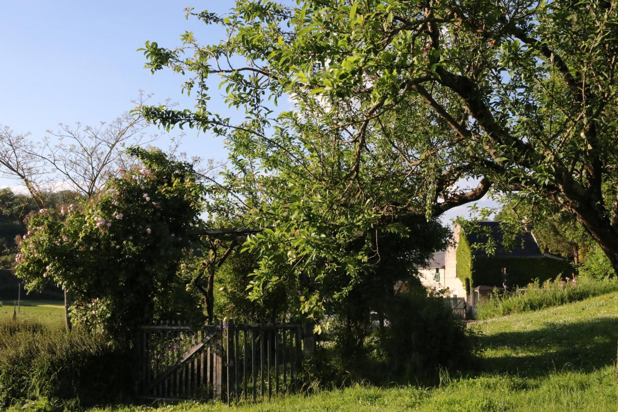 Chambres D'Hotes Du Noisillet Cinais Exteriér fotografie