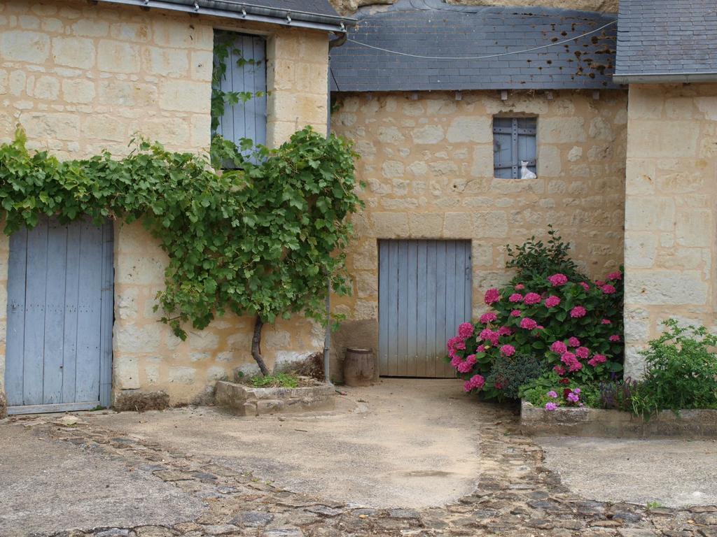 Chambres D'Hotes Du Noisillet Cinais Exteriér fotografie