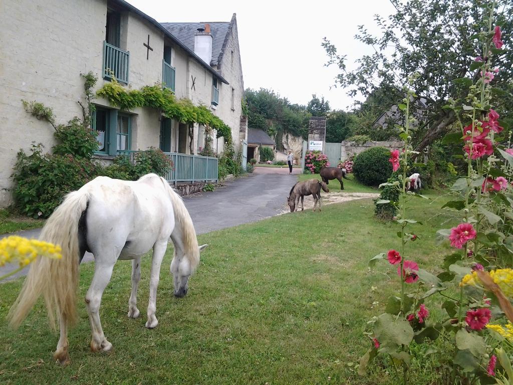 Chambres D'Hotes Du Noisillet Cinais Exteriér fotografie